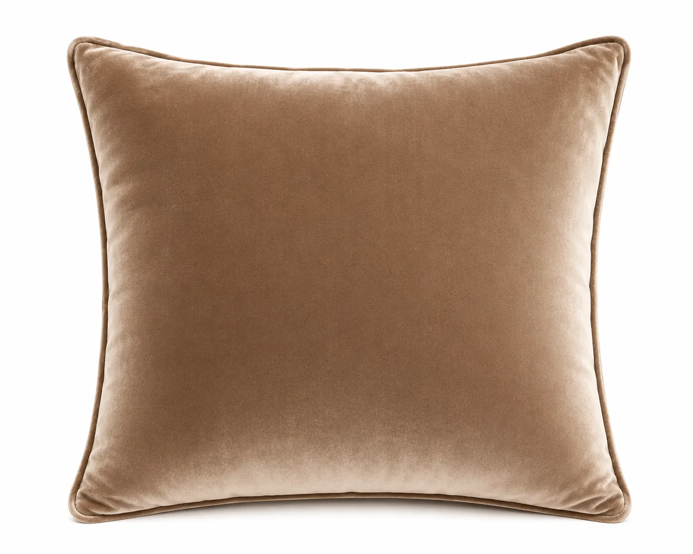 Velvet Cushion